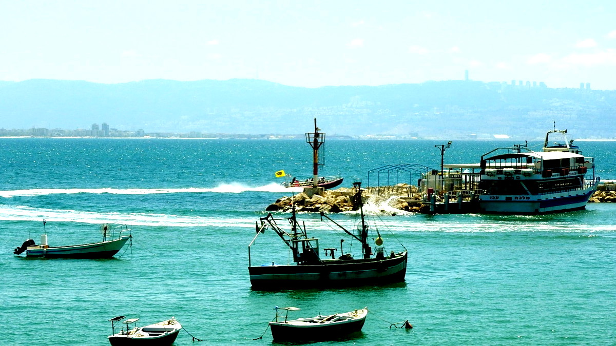 المحكمة العليا تقضي بإعادة انتخابات رئاسة بلدية عكا