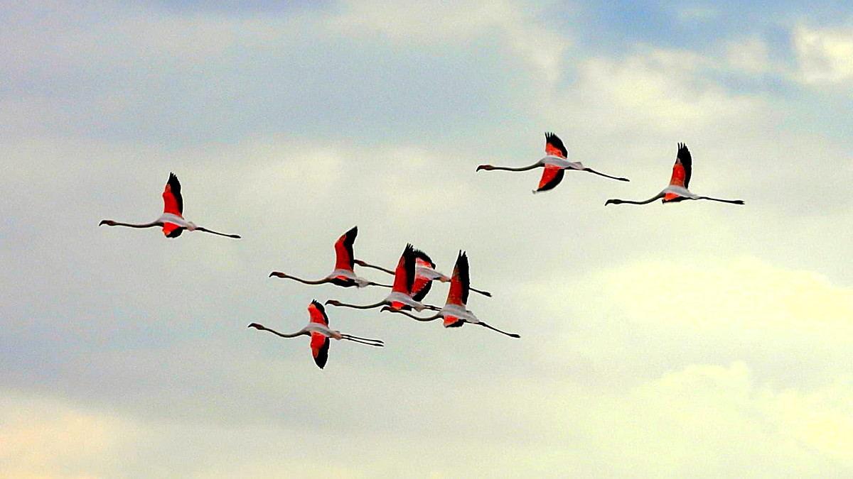 الطقس: جو غائم جزئي وانخفاض على درجات الحرارة