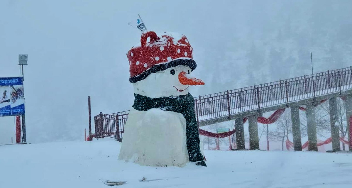 فيديو: تساقط كثيف للثلوج على مرتفعات الجولان ودرجات الحرارة تصل إلى ثلاث درجات تحت الصفر