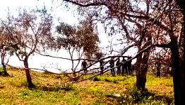 الصّحة الفلسطينية: ارتقاء شقيقَيْن وإصابة ثلاثة آخرين برصاص المستوطنين جنوب نابلس