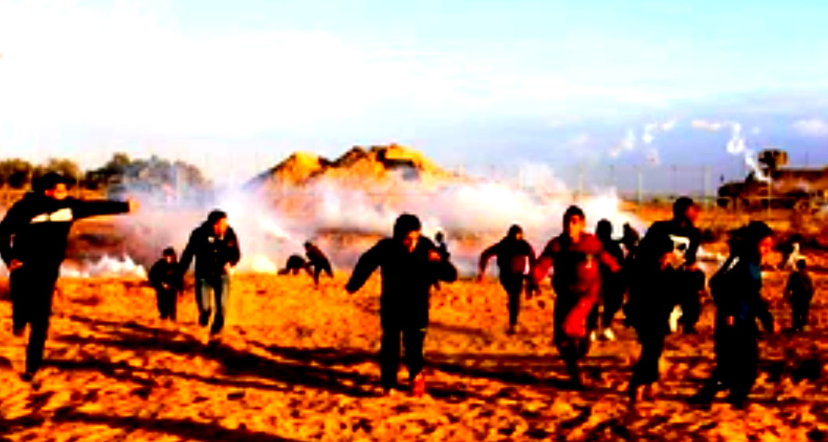 مصر تنظم فعالية إغاثية ضخمة في دير البلح وسط القطاع لدعم الغزيين