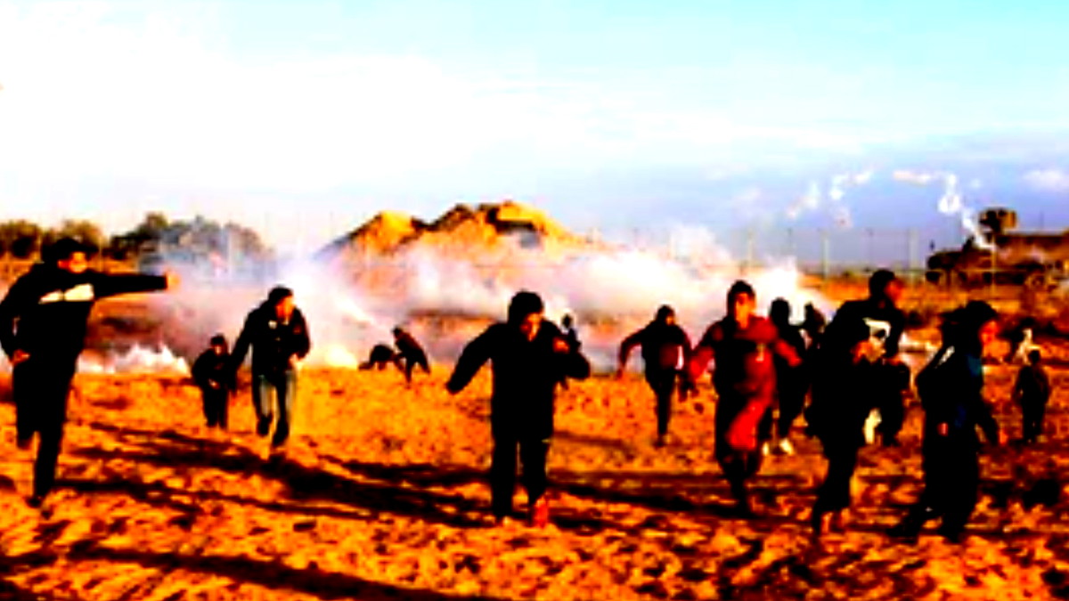 مصر تنظم فعالية إغاثية ضخمة في دير البلح وسط القطاع لدعم الغزيين