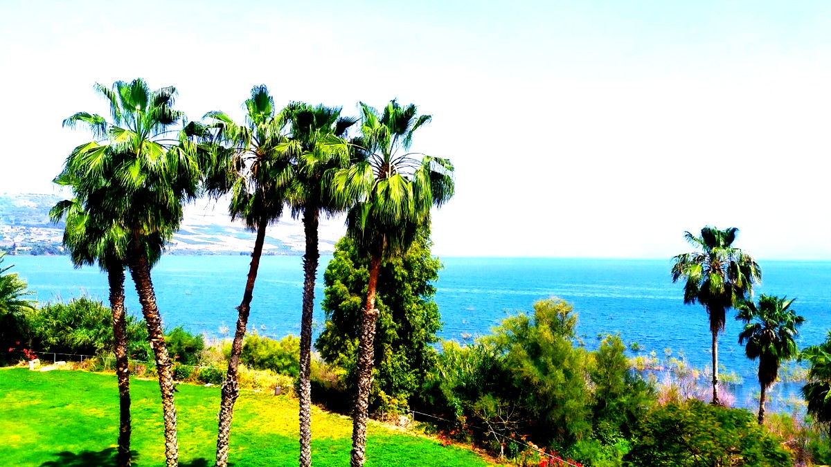 الطقس..أجواء غائمة جزئيا إلى صافية