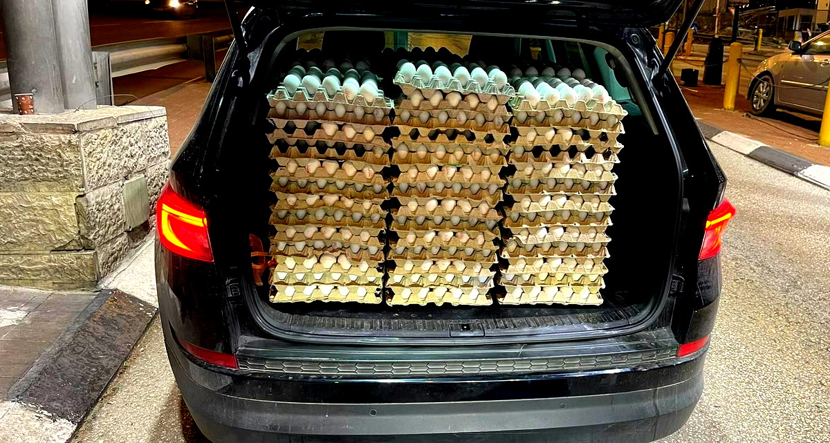 إحباط تهريب 77 ألف بيضة "مزيفة" وأطنان من اللحوم من مناطق السلطة الفلسطينية خلال ساعات