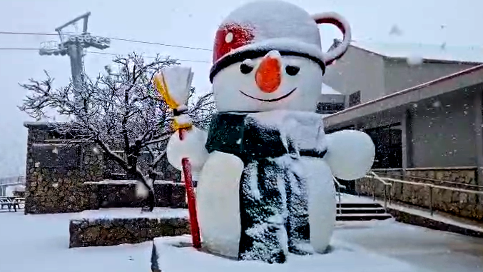 جبل الشيخ:تساقط الثلوج بغزارة منذ صباح اليوم وتراكم أكثر من 5 سنتمتر من الثلج في القسم السفلي