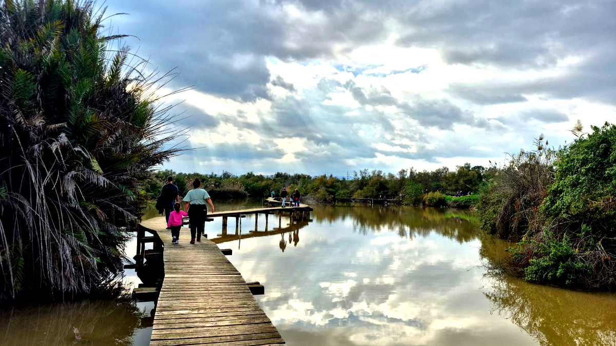 توقعات الطقس ثاني أيام العيد: أجواء باردة وغائمة جزئيا