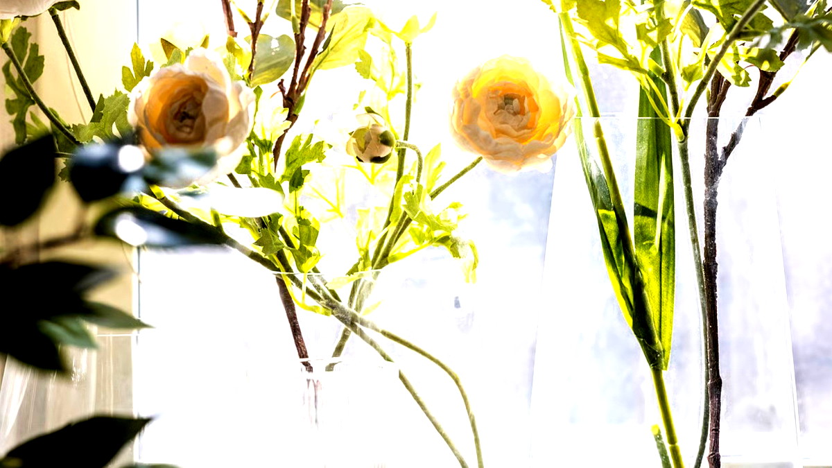 من المطبخ إلى طاولة الضيافة: كل ما تحتاجونه لموسم الأعياد والأعراس لاستضافة احتفالية مميّزة وراقية