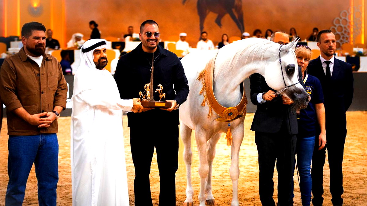 محمد الشيخ يقود الخيول الفلسطينية إلى إنجاز مشرف في بطولة دبي الدولية للجواد العربي 2026