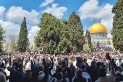 عشرات الآلاف يؤدون صلاة الجمعة في المسجد الأقصى بعد إغلاق استمر 40 يومًا