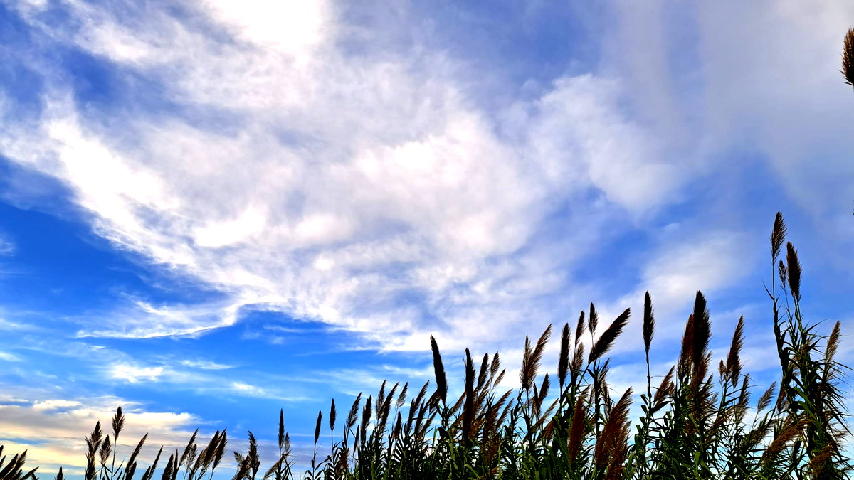 حالة الطقس: أجواء غائمة جزئيًا واستقرار نسبي على درجات الحرارة