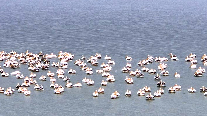 الطقس..أجواء صافية وارتفاع على درجات الحرارة