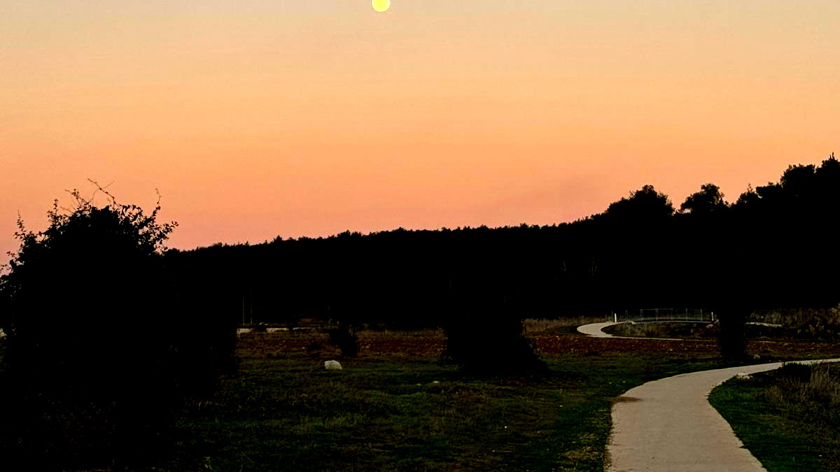 حالة الطّقس: أجواء ربيعيّة لطيفة ويطرأ ارتفاع على درجات الحرارة