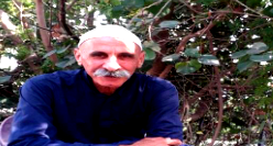 سيّده القصر  