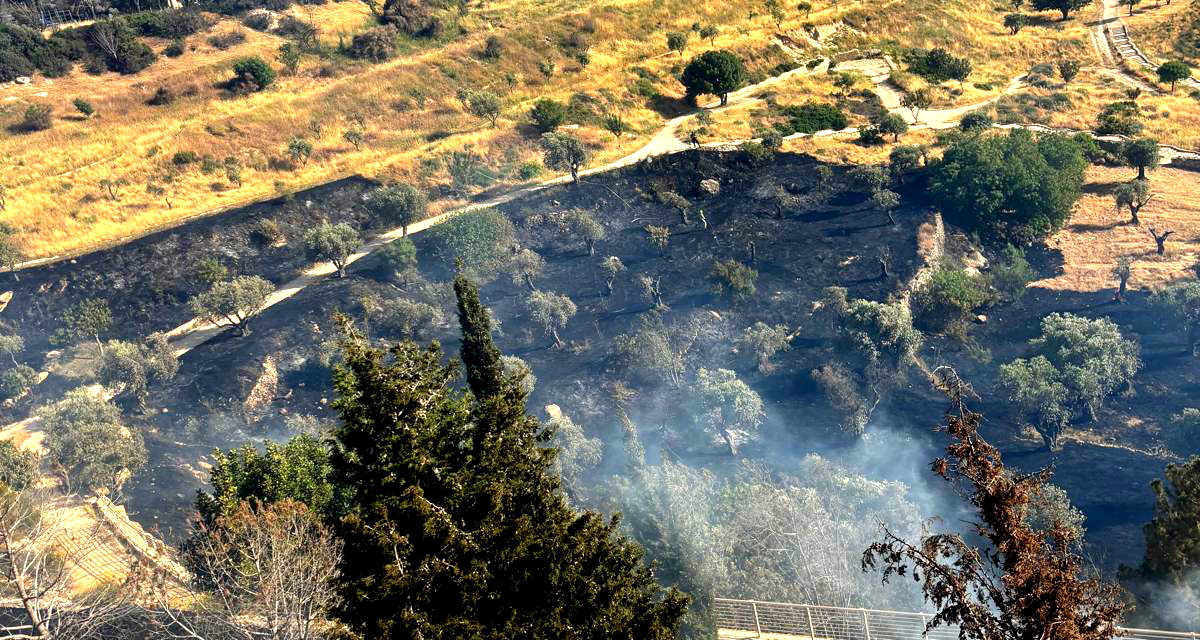  حريق كبير في منطقة مفتوحة بوادي الجوز - القدس