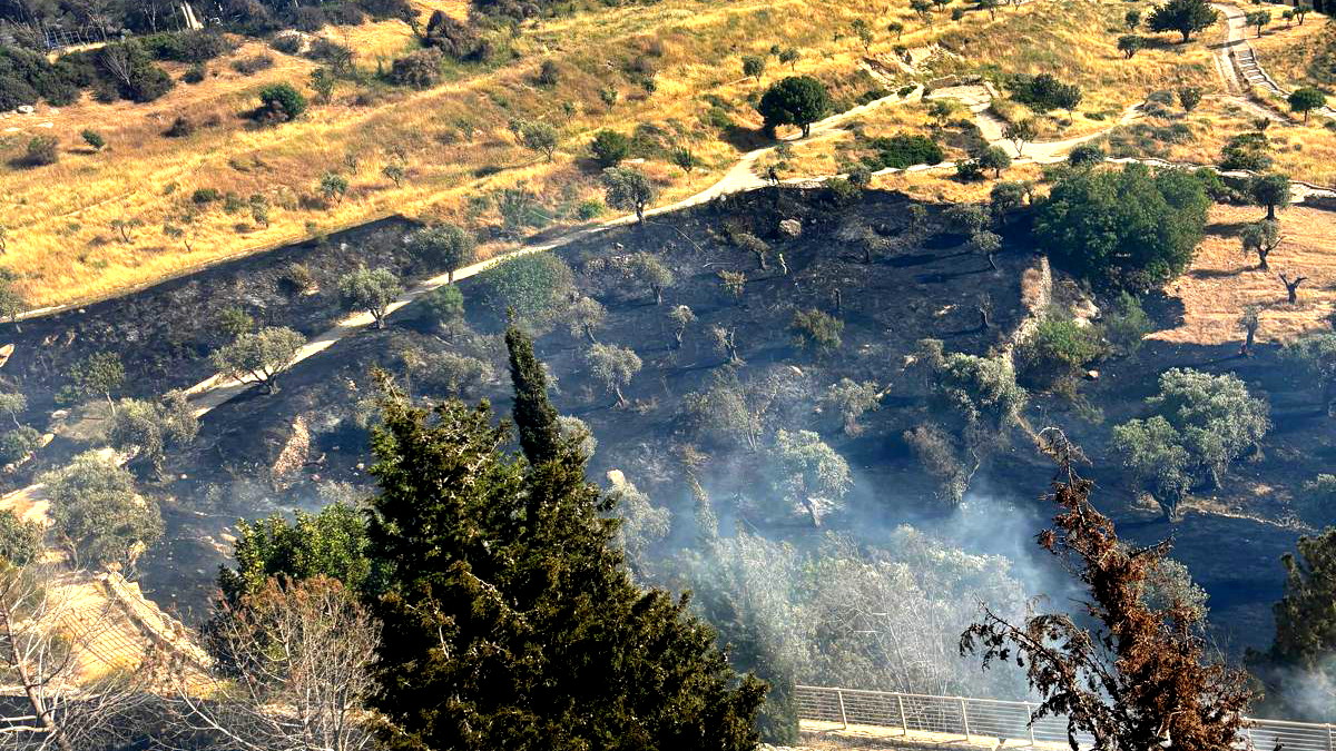  حريق كبير في منطقة مفتوحة بوادي الجوز - القدس