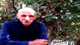  جروح الوجدان ومرهم الروح 