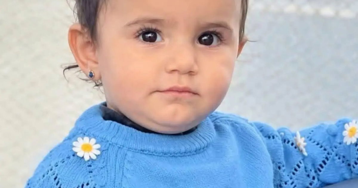 صورة الخبر