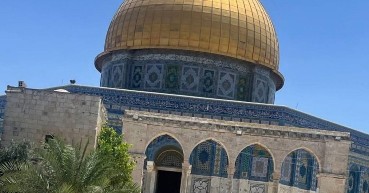 صورة الخبر