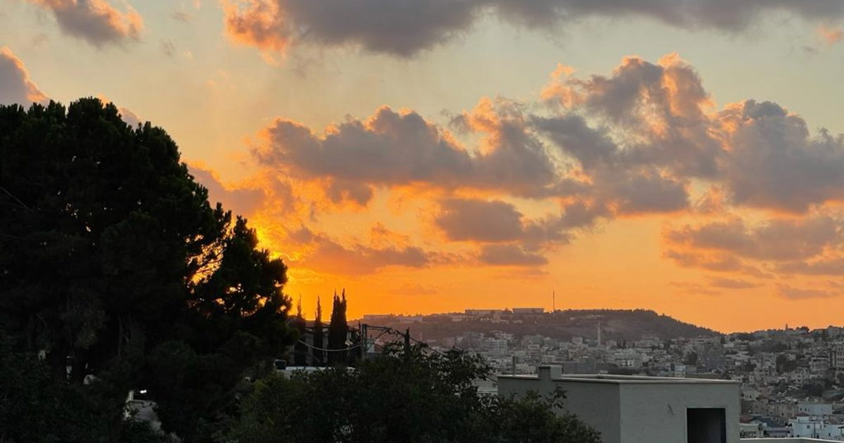 صورة الخبر