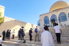 دائرة الأوقاف الفلسطينية: 1195 مستوطنًا اقتحموا المسجد الأقصى صباح اليوم