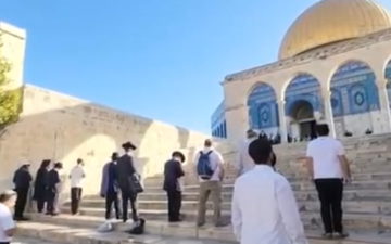 دائرة الأوقاف الفلسطينية: 1195 مستوطنًا اقتحموا المسجد الأقصى صباح اليوم
