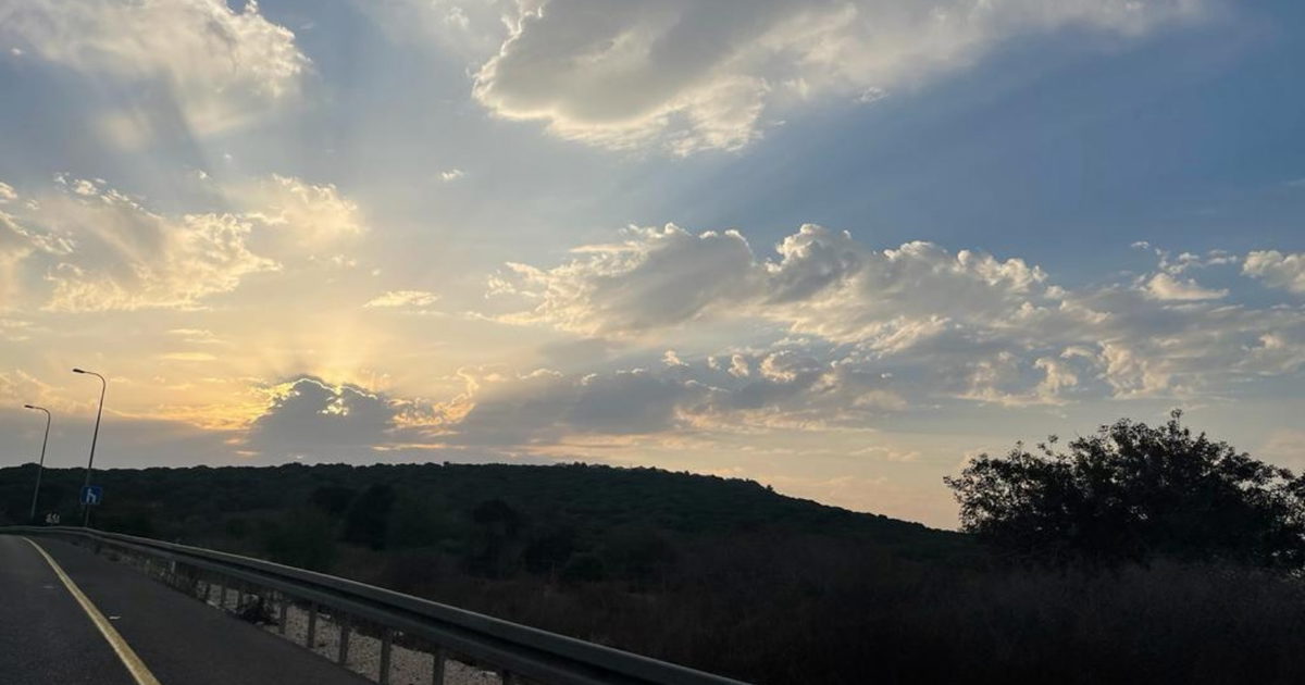 صورة الخبر