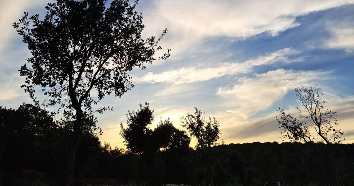 صورة الخبر