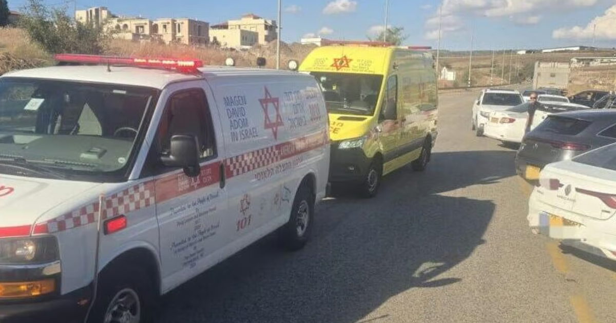 صورة الخبر