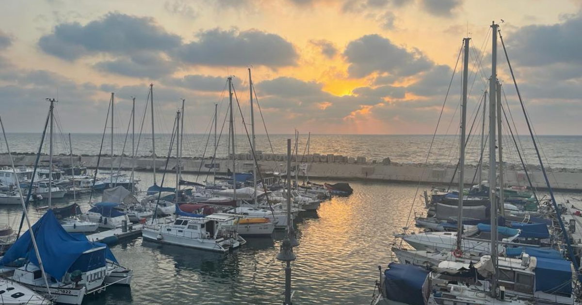 صورة الخبر