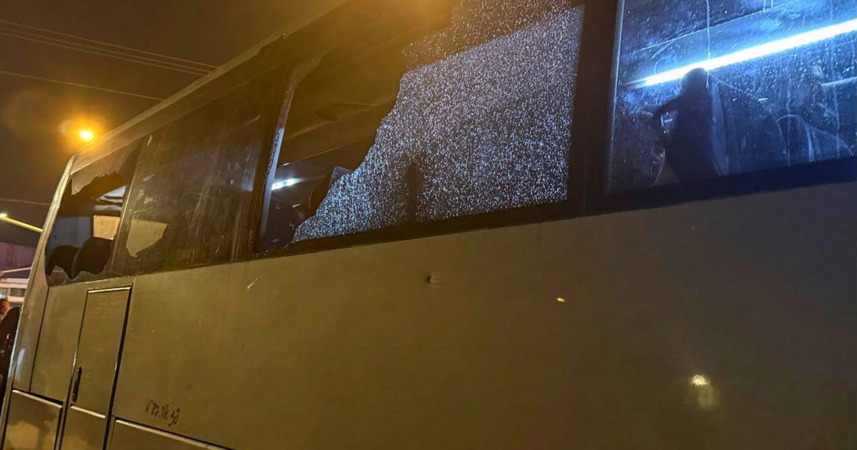 صورة الخبر