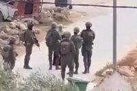 رام الله: فيديو يوثق تنكيل جنود إسرائيليين بسيدة ومنعها من المرور في قرية المغير