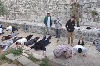 مستوطنون يؤدون طقوسًا جماعية في المسجد الأقصى وجندي إسرائيلي يوثق الانتهاكات