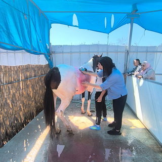 بلدية كفرقرع: اختتام دورة الخيل العلاجية لذوي الهمم بمبادرة قسم الخدمات الاجتماعية