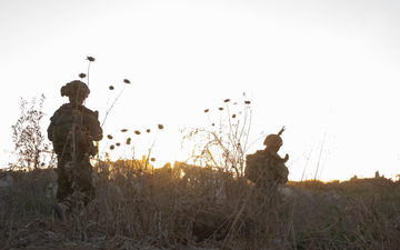 بقيمة تقدّر بملايين الشّواقل! اعتقال 21 شخصًا بشبهة الاحتيال والتورّط في قضايا فساد خلال العملية العسكرية في قطاع غزّة