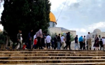 أكثر من 960 مستوطنًا يقتحمون المسجد الأقصى ويؤدّون طقوسًا تلمودية بحماية الشرطة