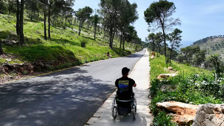 أماكن في بلادنا تستحقّ الزيارة.. غابة بيت قيشِت وجهة طبيعية في الجليل الأسفل