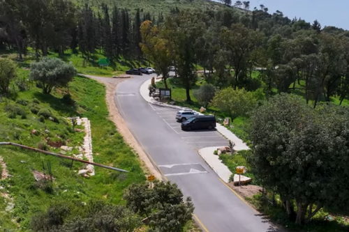 أماكن في بلادنا تستحقّ الزيارة.. غابة بيت قيشِت وجهة طبيعية في الجليل الأسفل