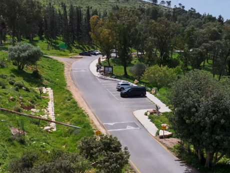 أماكن في بلادنا تستحقّ الزيارة.. غابة بيت قيشِت وجهة طبيعية في الجليل الأسفل
